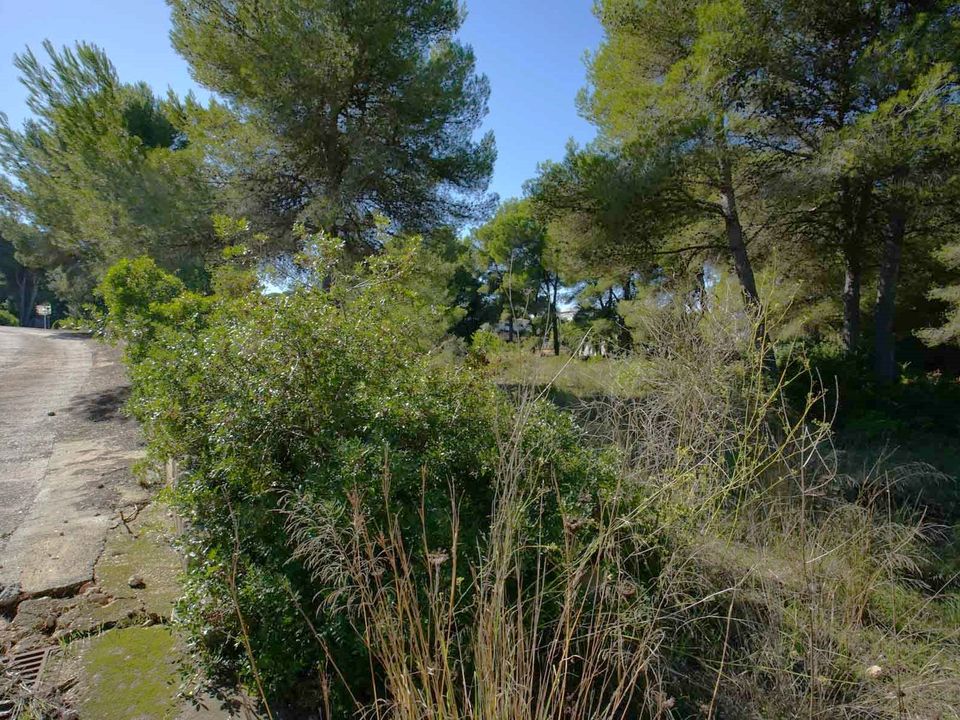 Helårsgrund i Javea, Alicante - foto 4