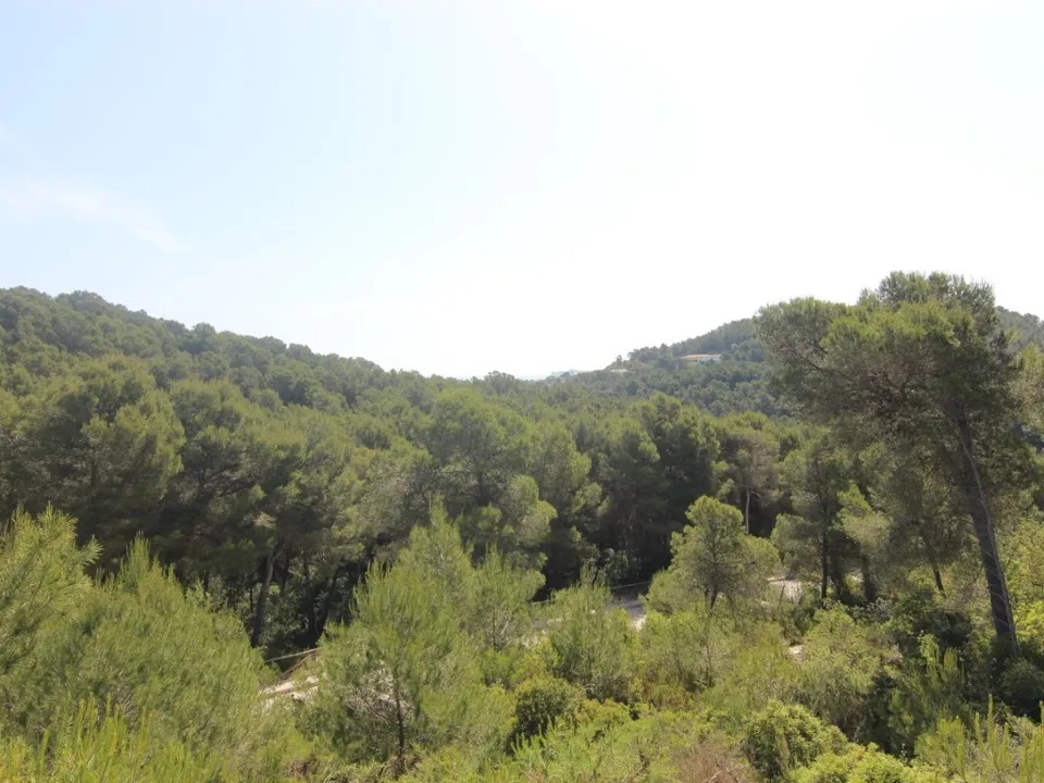 Terra a Javea, Alicante - foto 1
