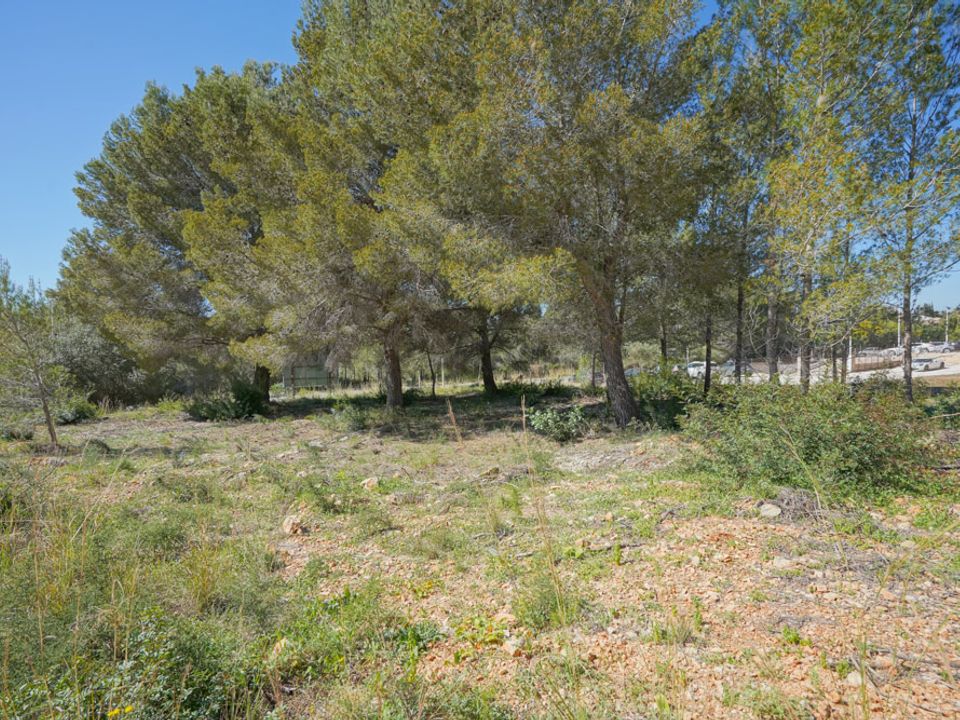 Tomt i Javea, Alicante - bilde 2