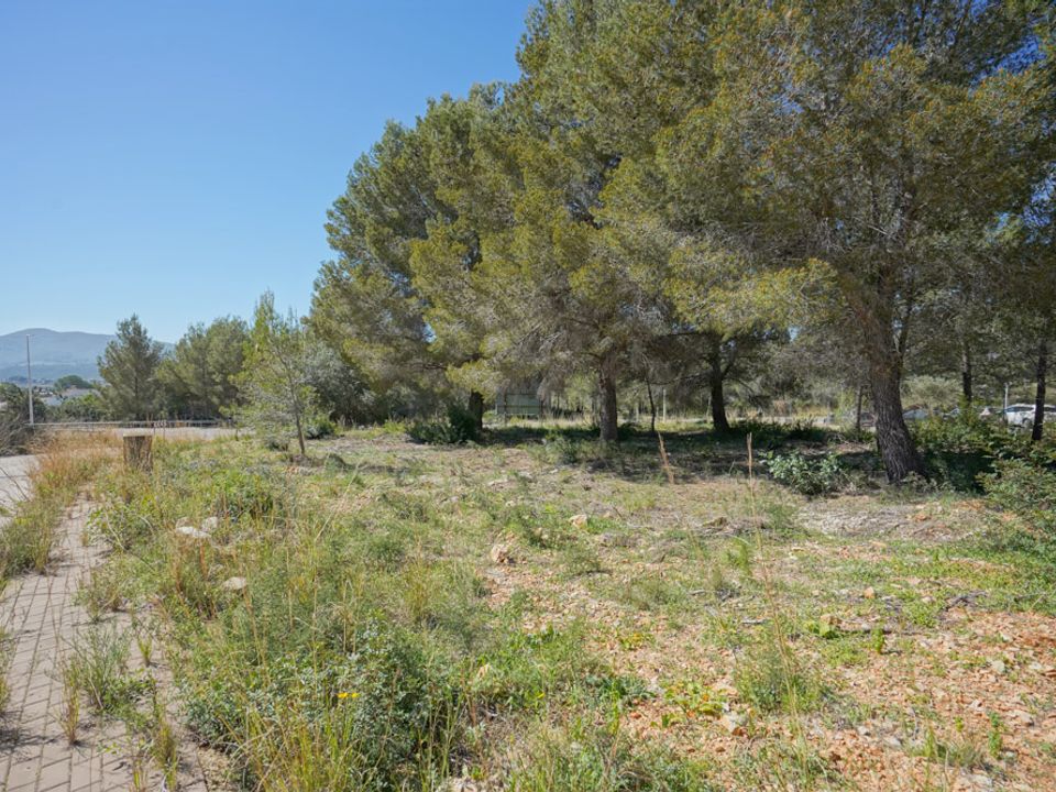 Tomt i Javea, Alicante - bilde 4