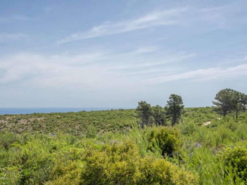 Tomt i Javea, Alicante - bilde 1