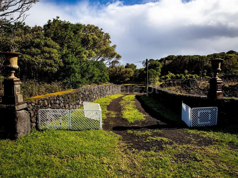 Lejlighed i Lajes do Pico, Pico - foto 5