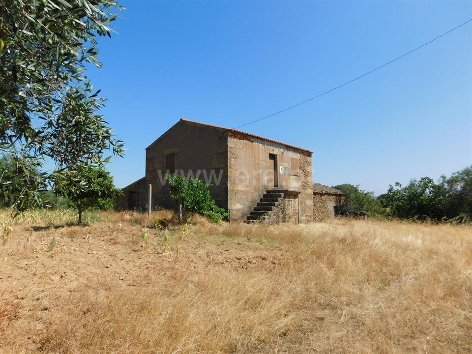 Farm i Fundao, Castelo Branco - foto 1