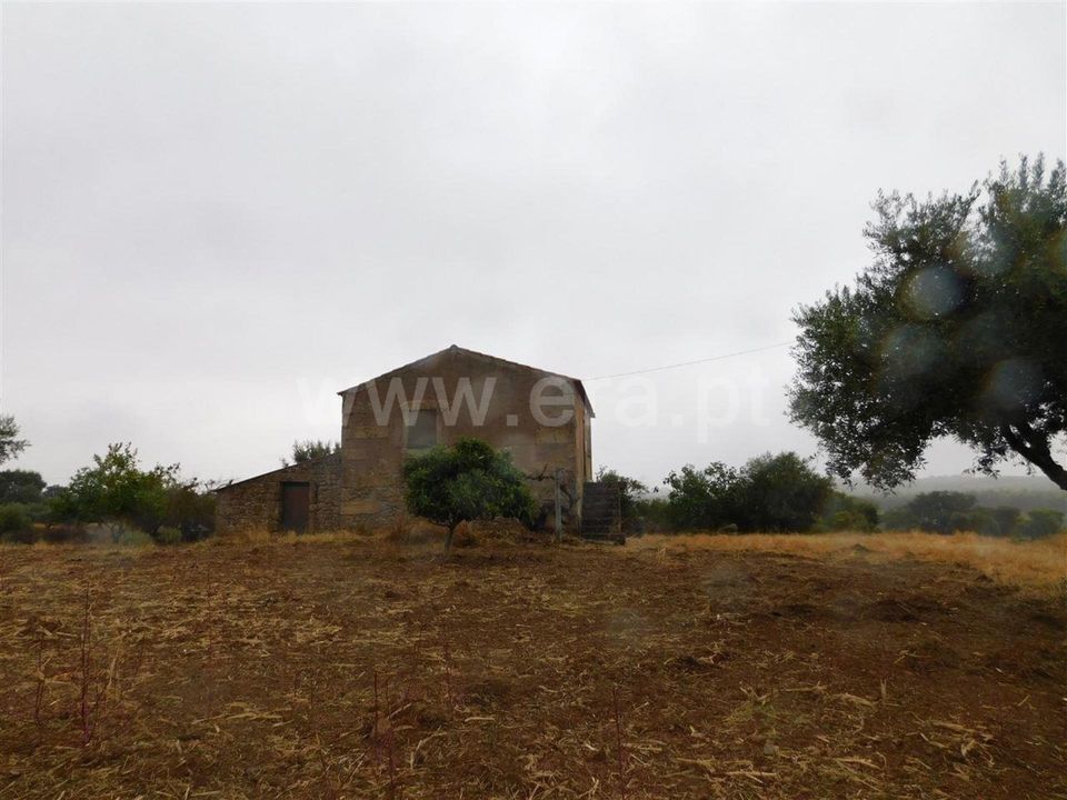 Farm i Fundao, Castelo Branco - foto 2