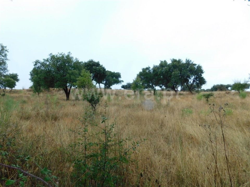 Farm i Fundao, Castelo Branco - foto 4