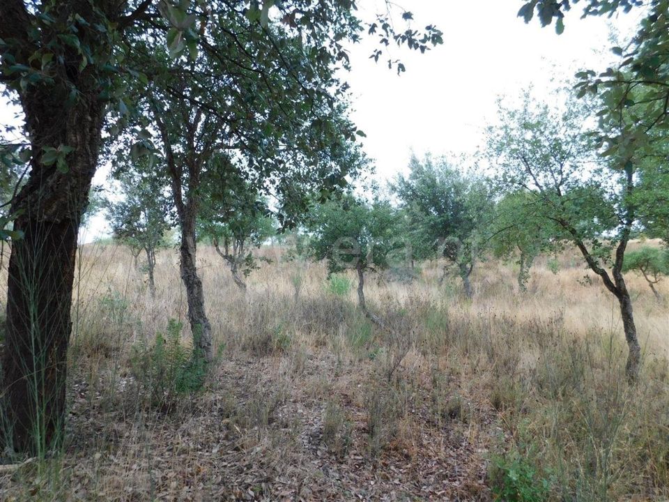 Farm i Fundao, Castelo Branco - foto 5