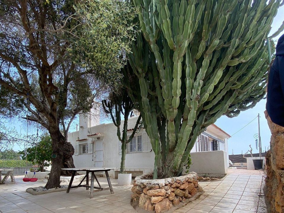 Villa i Playa d'en Bossa, Ibiza - foto 3