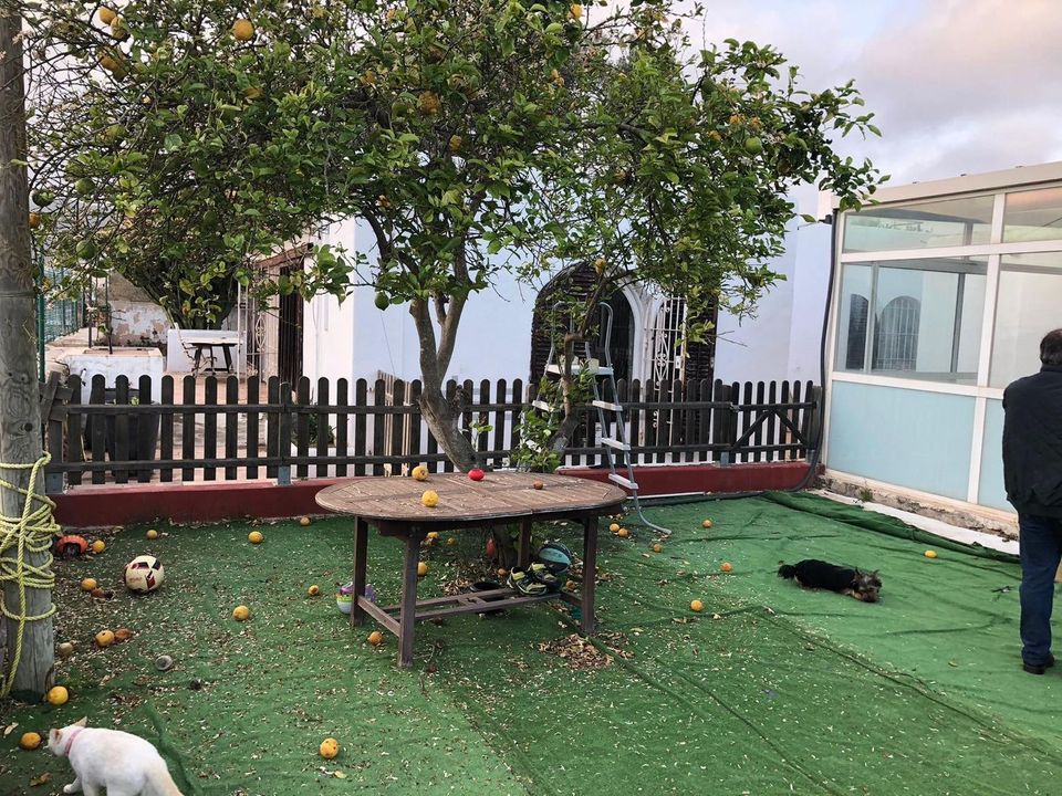 Villa i Playa d'en Bossa, Ibiza - foto 4