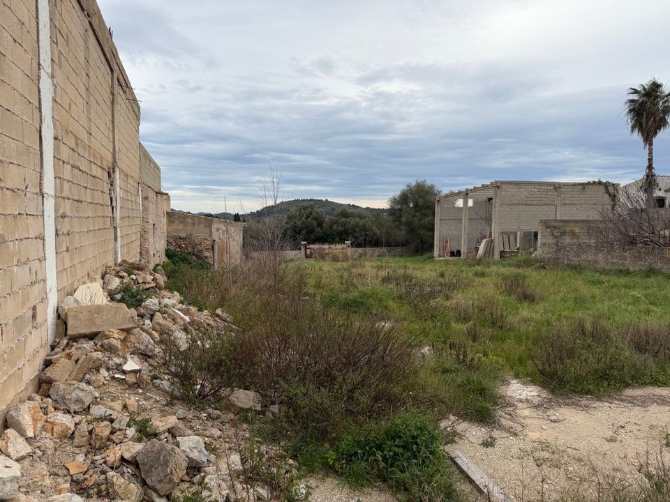 Helårsgrund i Arta, Mallorca - foto 4