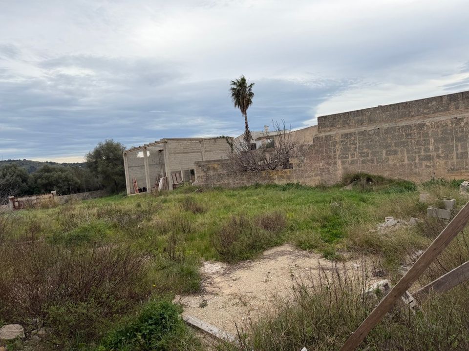 Helårsgrund i Arta, Mallorca - foto 5