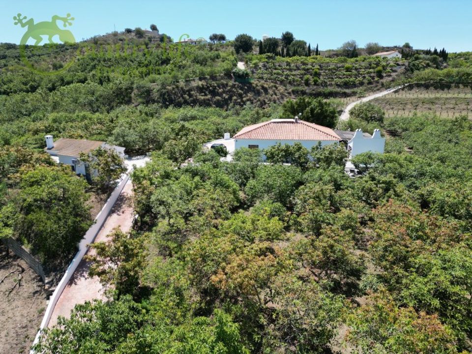 Farm i Velez Malaga, Malaga - foto 2