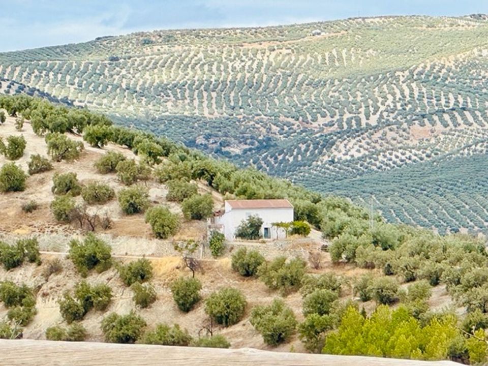Landejendom i Iznajar, Cordoba - foto 2
