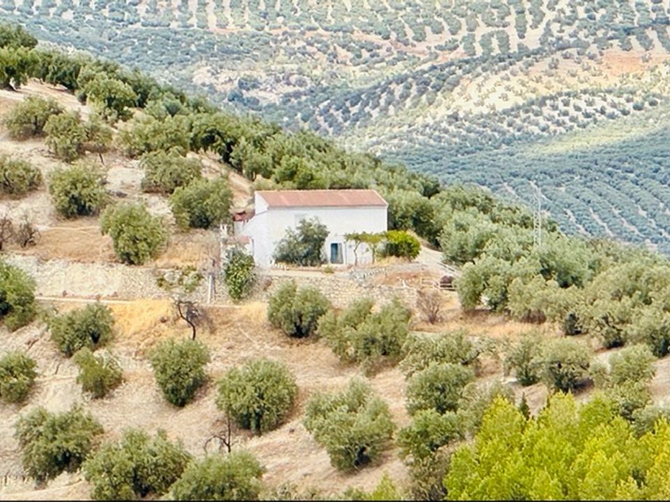 Landejendom i Iznajar, Cordoba - foto 4