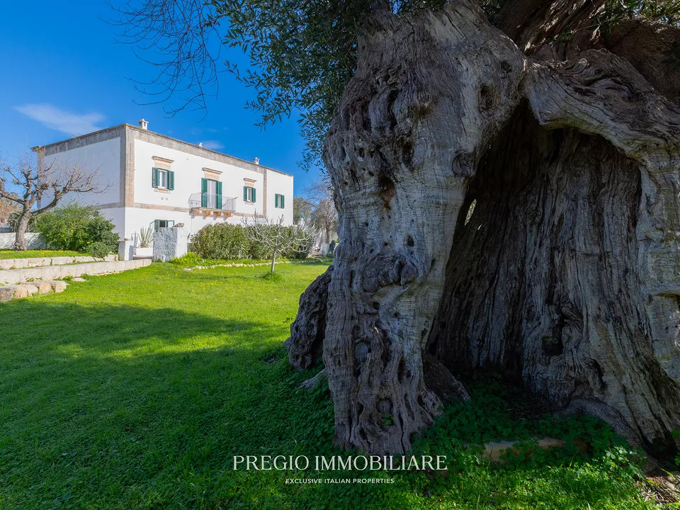 Masia a Ostuni, Brindisi - foto 2