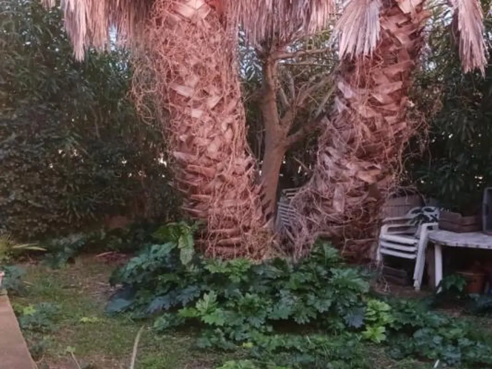 Villa i Nissan-lez-Enserune, Herault - foto 2