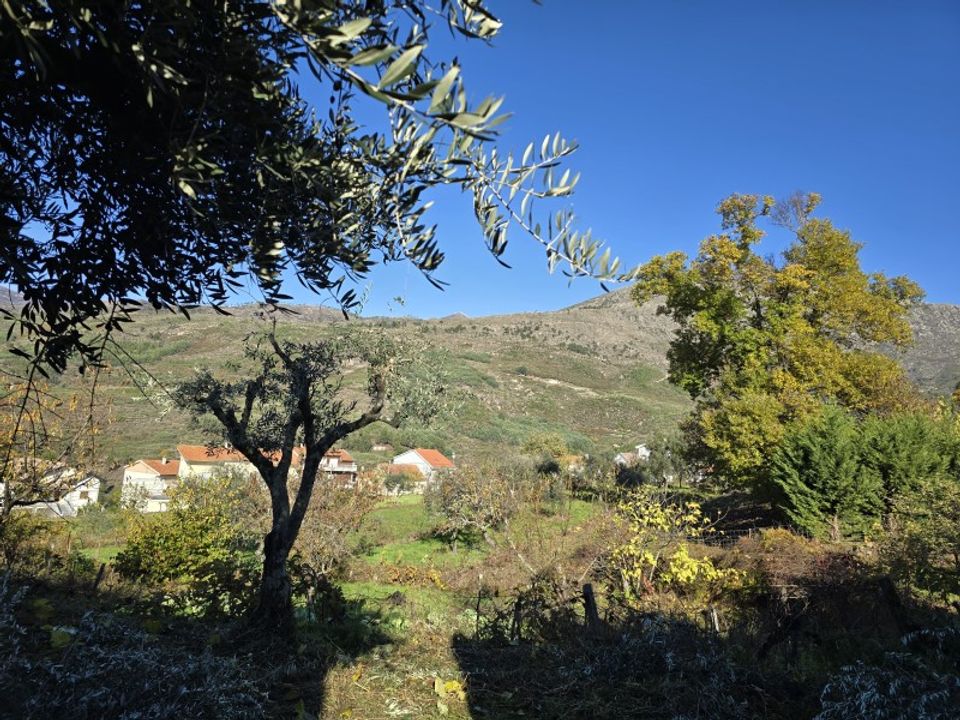 Helårsgrund i Covilha, Castelo Branco - foto 5