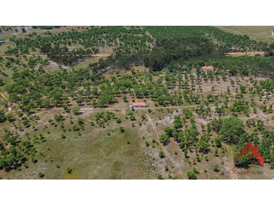 Farm hus i Sao Domingos e Vale de Agua, Setubal - foto 5
