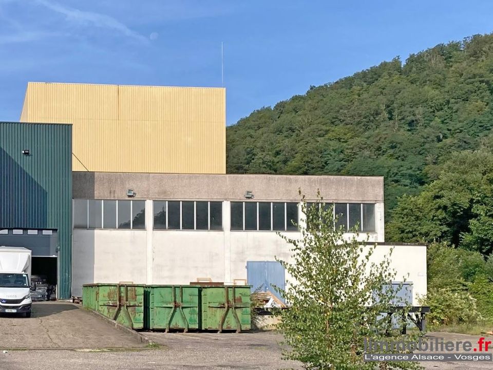 L'establiment comercial a Sainte-Marie-aux-Mines, Haut-Rhin - foto 1