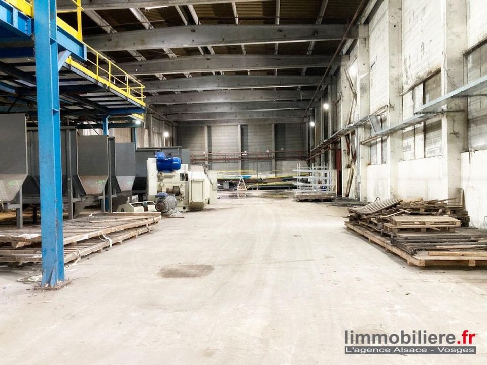 L'establiment comercial a Sainte-Marie-aux-Mines, Haut-Rhin - foto 5