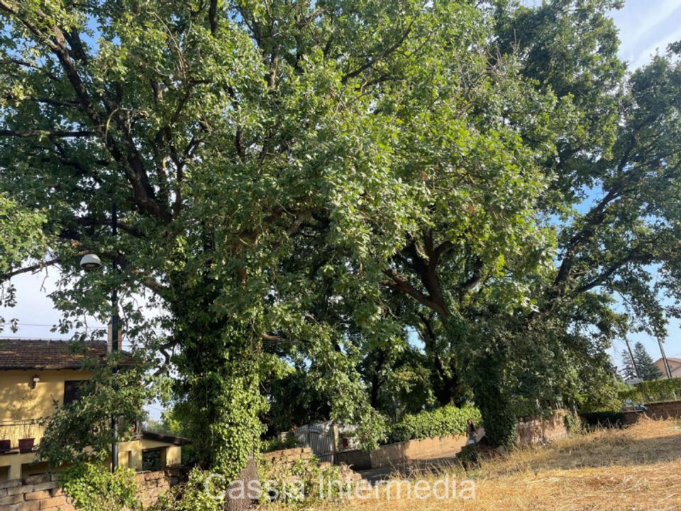 Helårsgrund i Monterosi, Viterbo - foto 3