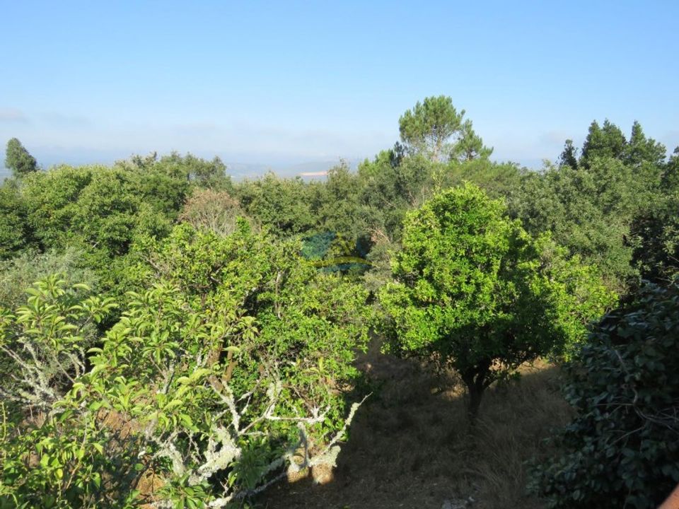 Villa i Miranda do Corvo, Coimbra - foto 4