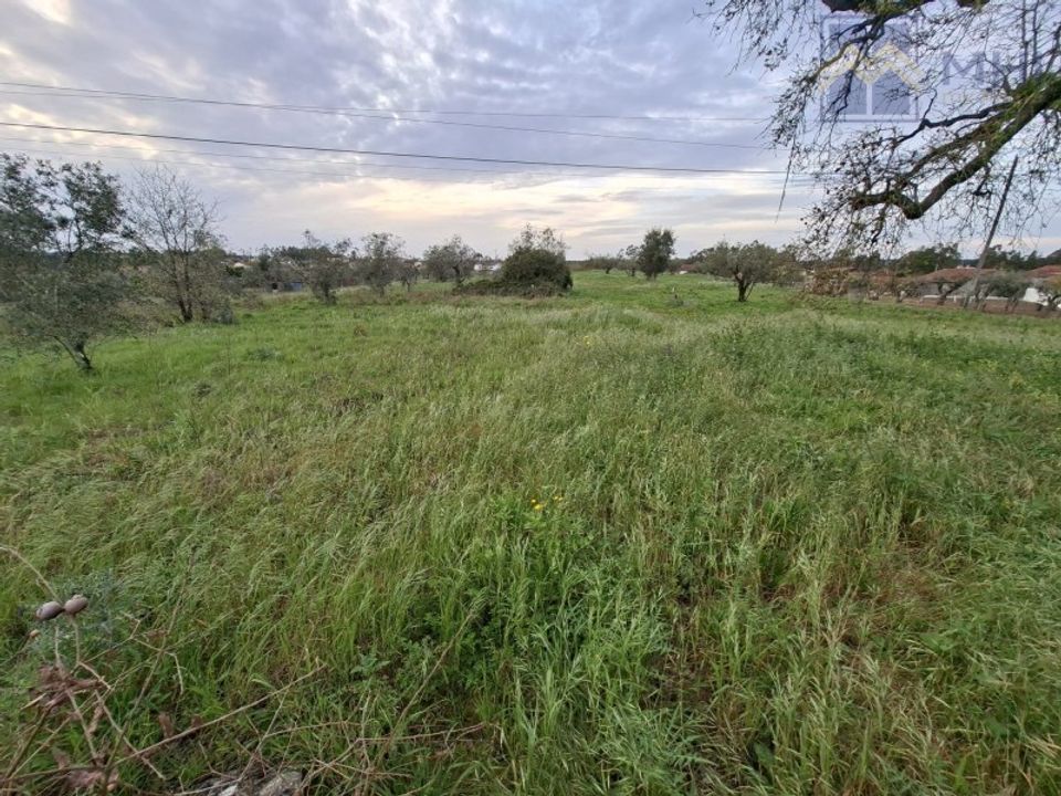 Helårsgrund i Pombal, Leiria - foto 1