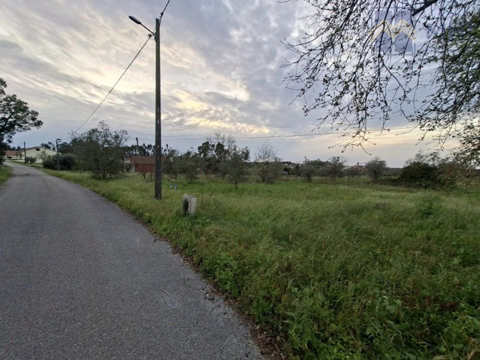 Helårsgrund i Pombal, Leiria - foto 2