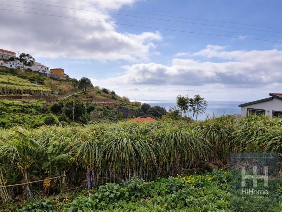 Helårsgrund i Ribeira Brava, Madeira - foto 3