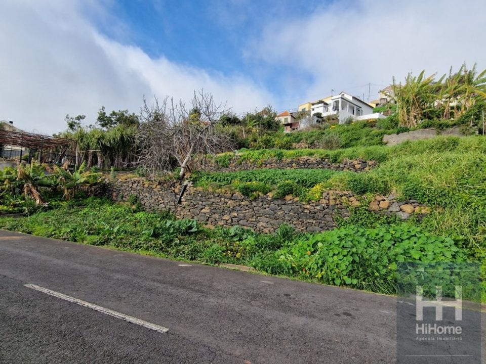 Helårsgrund i Ribeira Brava, Madeira - foto 4