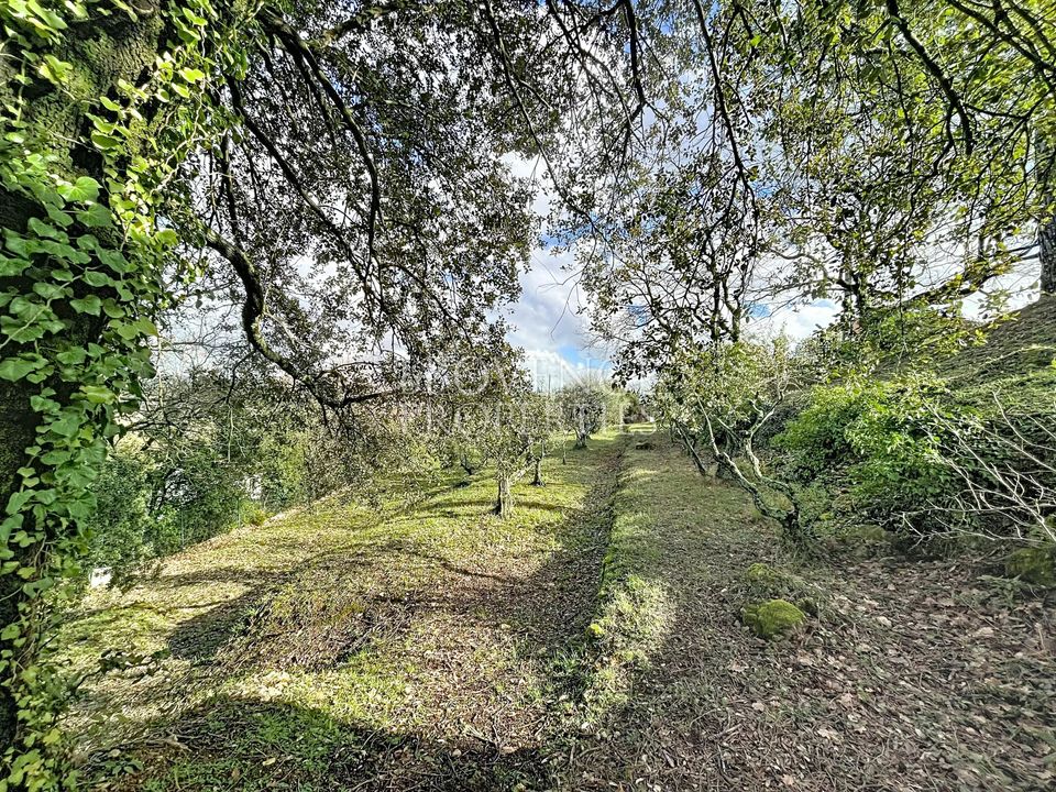 Villa i Tourves, Var - foto 2
