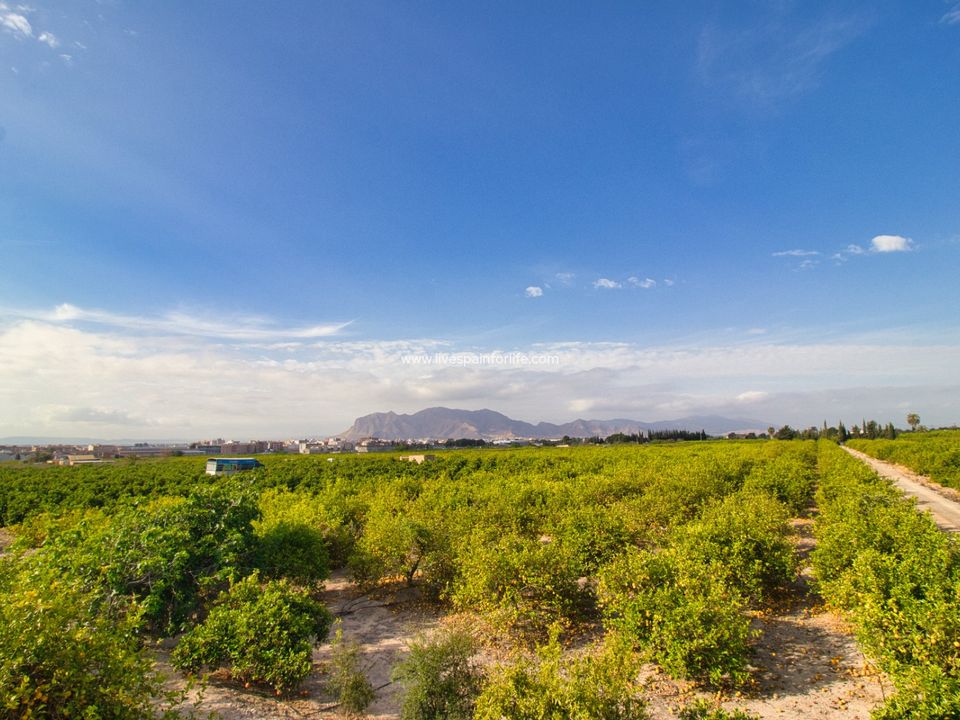 Helårsgrund i Albatera, Alicante - foto 2