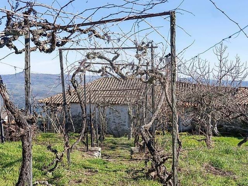 Villa i Tabuaco, Viseu - bilde 2