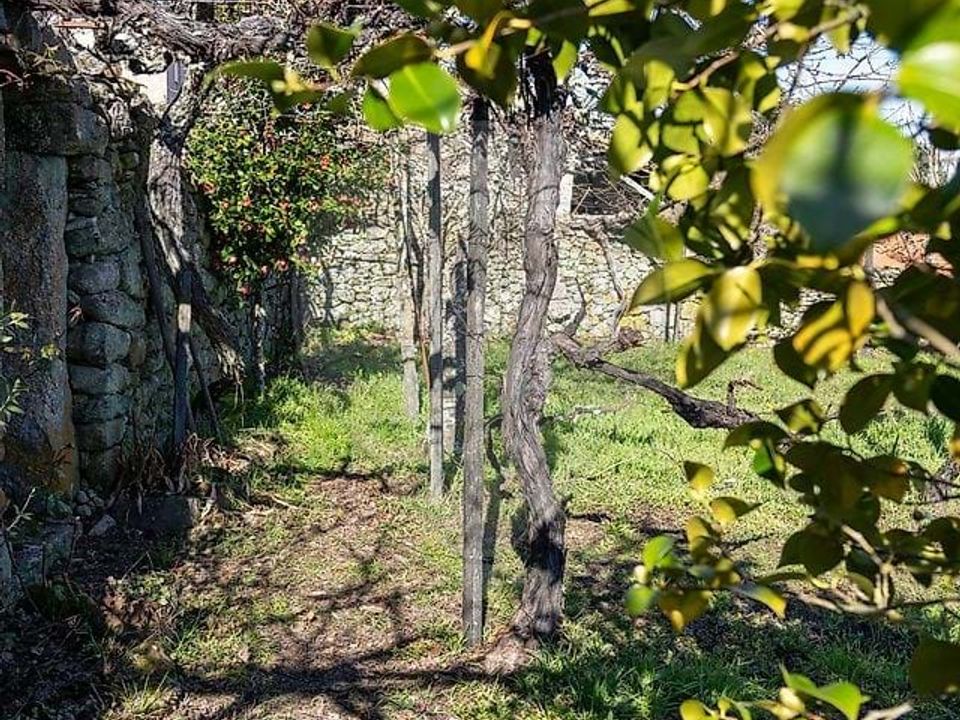 Villa i Tabuaco, Viseu - bilde 3