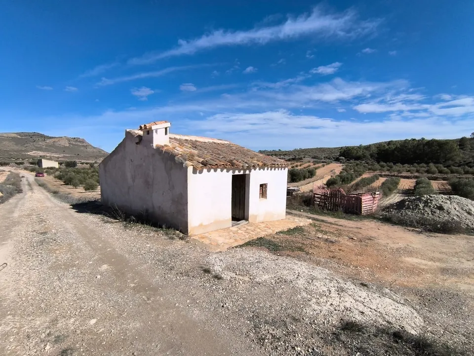 Landejendom i Jumilla, Murcia - foto 1