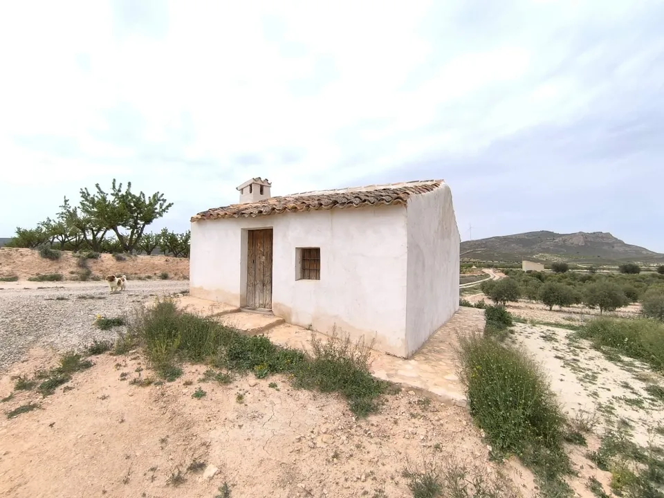 Landejendom i Jumilla, Murcia - foto 2