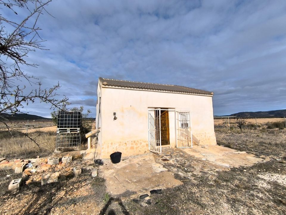 Landejendom i Yecla, Murcia - foto 2