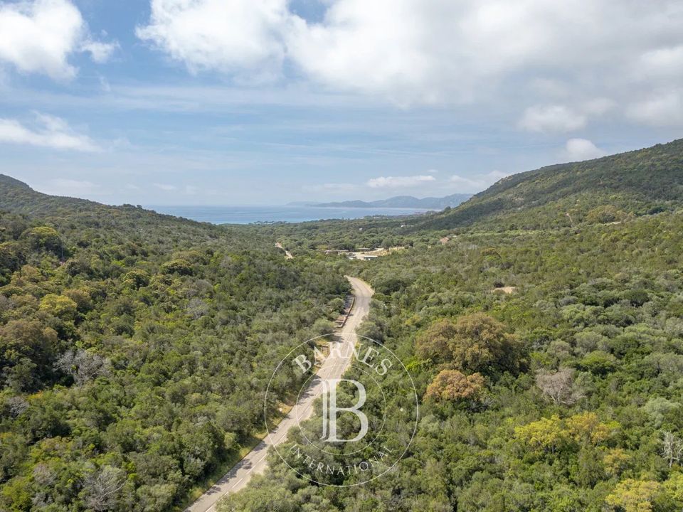 Tomt i Porto-Vecchio, Corse-du-Sud - bilde 1
