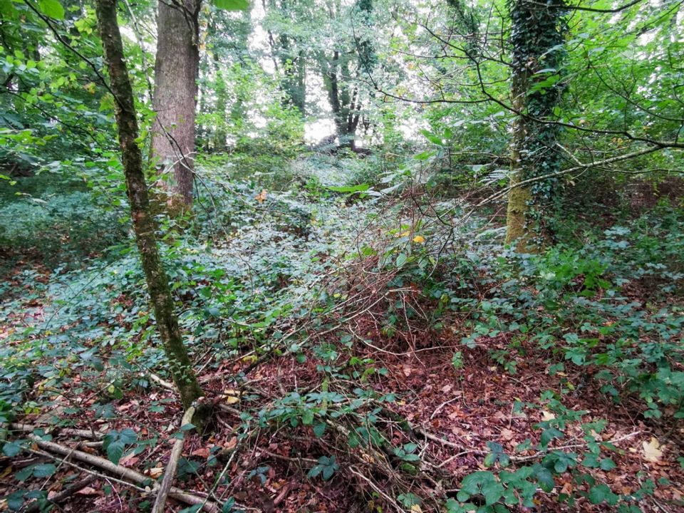 Helårsgrund i Poullaouen, Finistere - foto 5