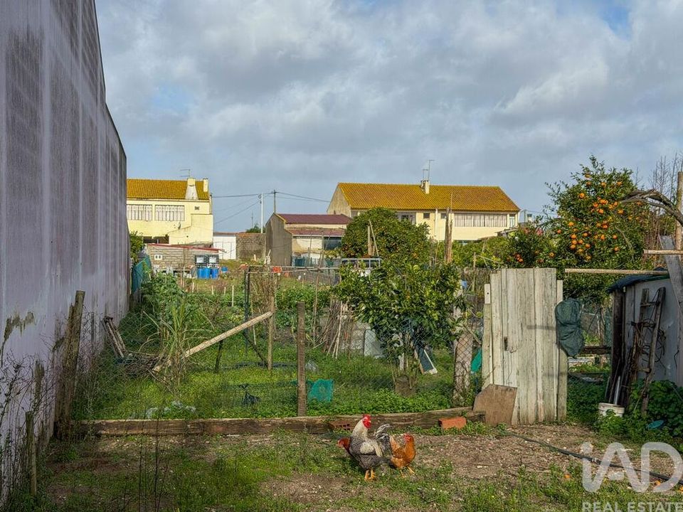 Helårsgrund i Almeirim, Santarem - foto 5