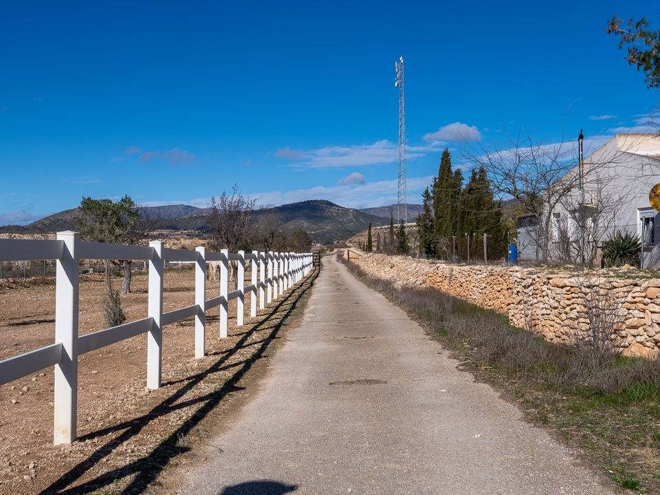 Landejendom i Monovar, Alicante - foto 4