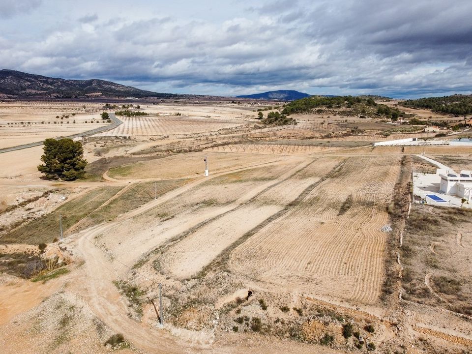 Helårsgrund i Torre Del Rico, Murcia - foto 4