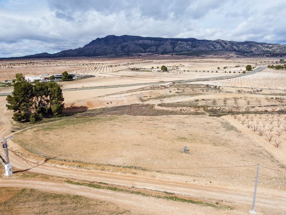 Helårsgrund i Torre Del Rico, Murcia - foto 4