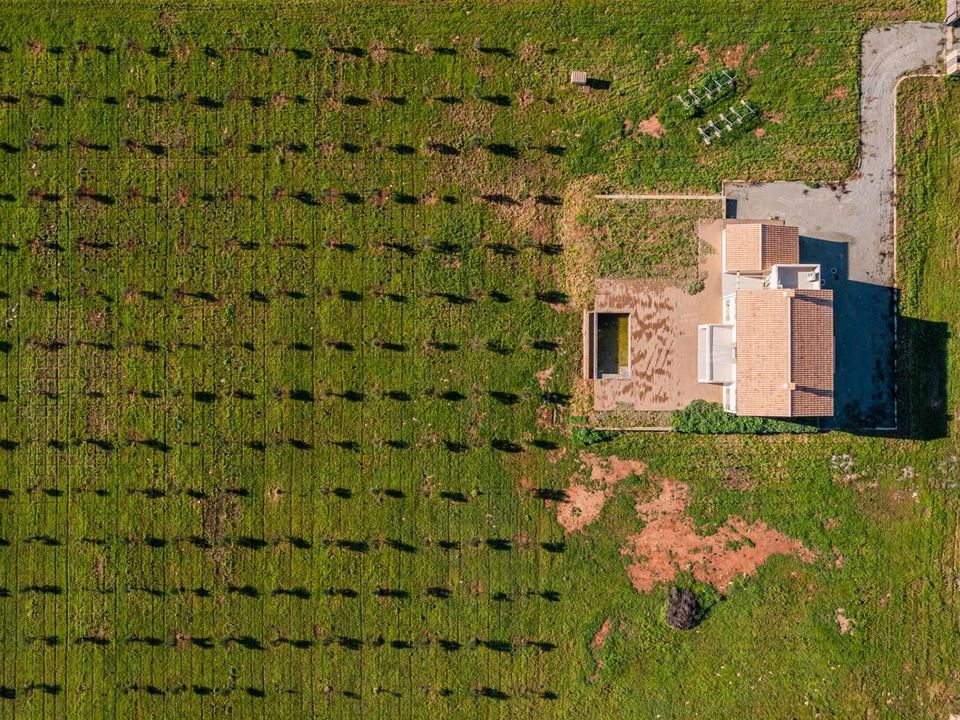 Finca i Porto Cristo, Mallorca - foto 3