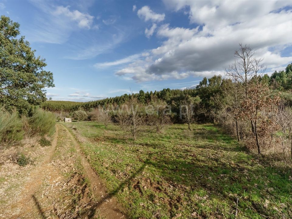 Helårsgrund i Fundao, Castelo Branco - foto 4