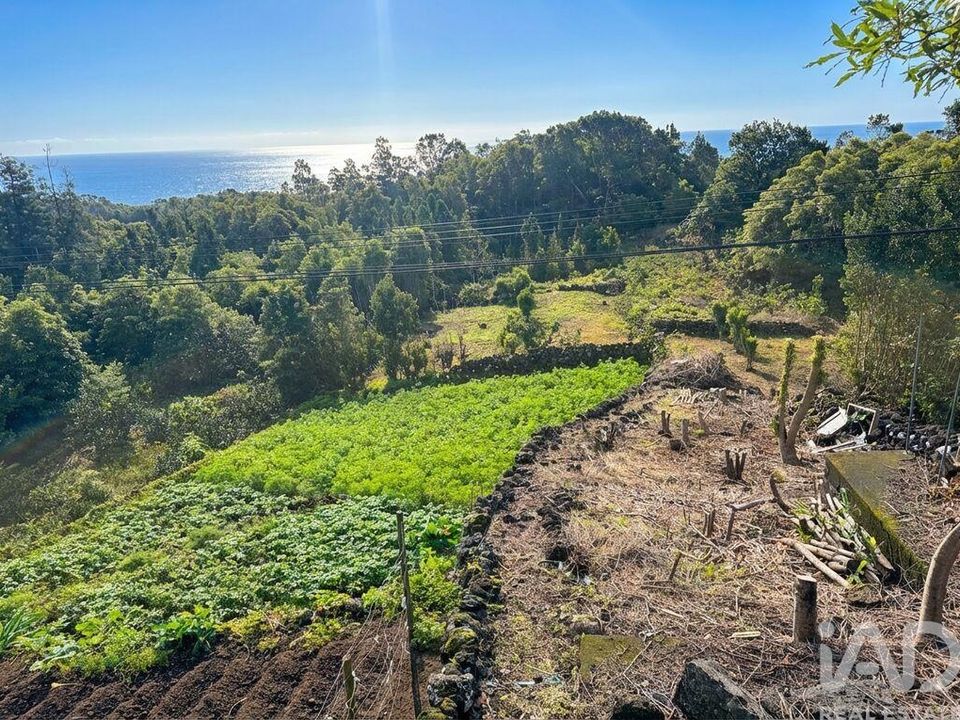 Casa de pueblo en Lajes do Pico, Pico - foto 3