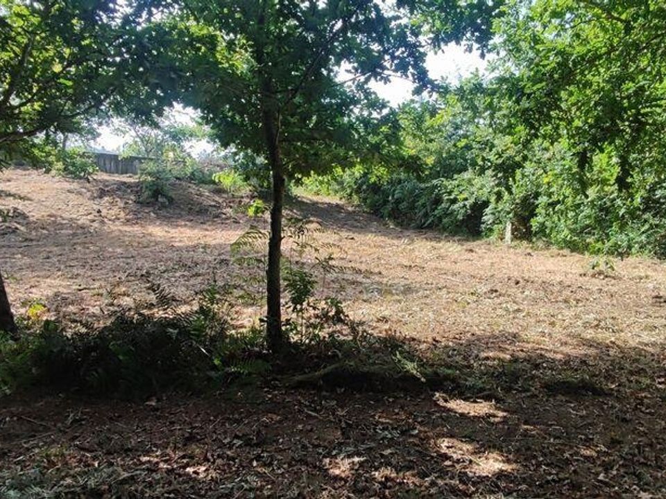 Helårsgrund i Paredes de Coura, Viana do Castelo - foto 1