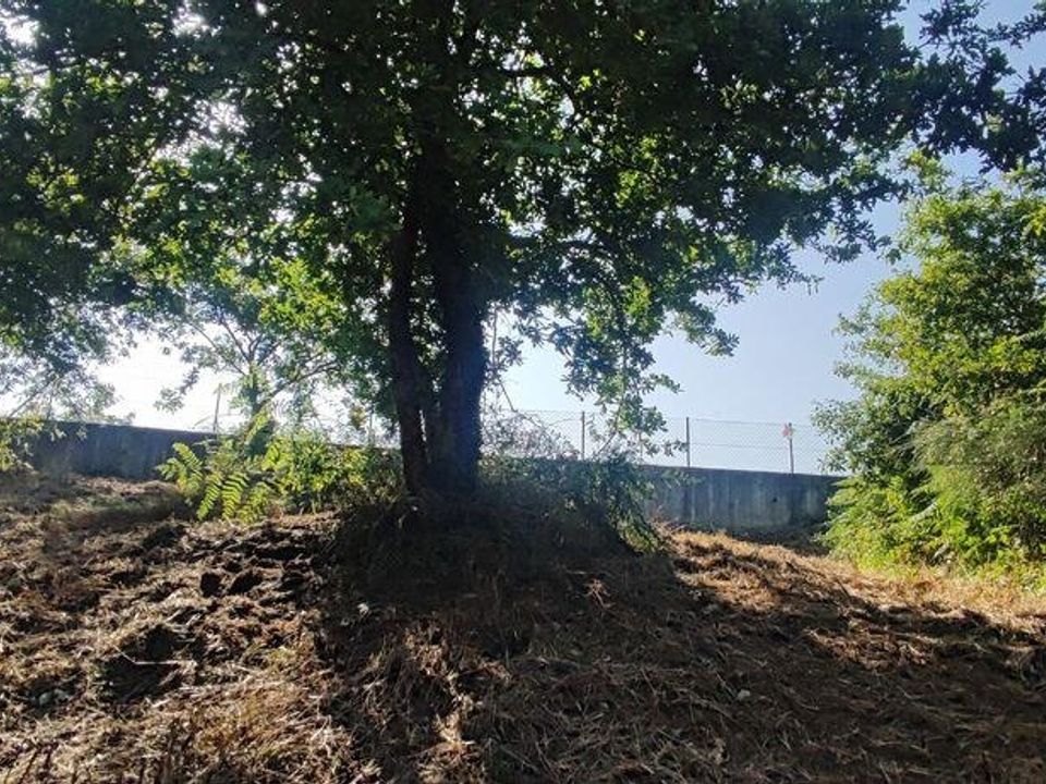Helårsgrund i Paredes de Coura, Viana do Castelo - foto 3