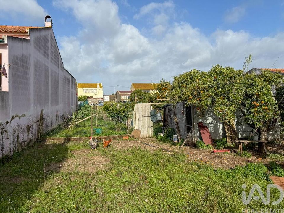 Helårsgrund i Almeirim, Santarem - foto 5