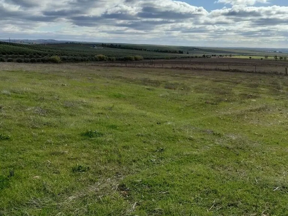 Helårsgrund i Beja, Beja - foto 1