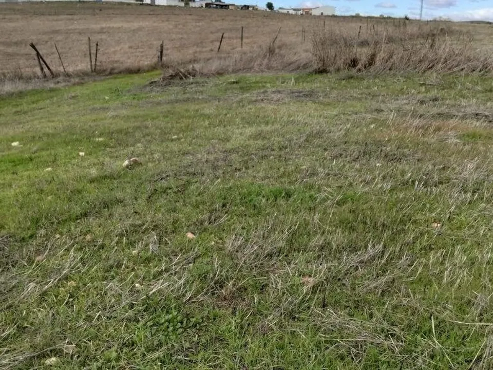 Helårsgrund i Beja, Beja - foto 2